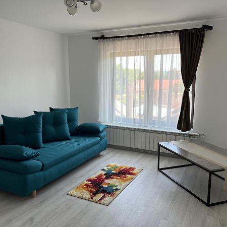 Sighetu Marmaţiei Casa Rafael酒店 外观 照片